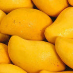 SPF 30 Mango Butter Lip Balm *Pre-Order* - 52 Sundaze