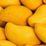 SPF 30 Mango Butter Lip Balm *Pre-Order* - 52 Sundaze