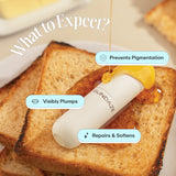 Festive Glaze Kit – SPF 101